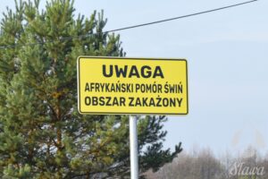 Uwaga! Afrykański Pomór Świń Uwaga! Afrykański Pomór Świń