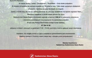 Komunikat NSŚ