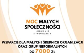 Ruszył nabór w konkursie „MMS – lubuskie minigranty”!