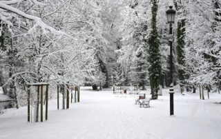 Park Miejski w zimowej odsłonie