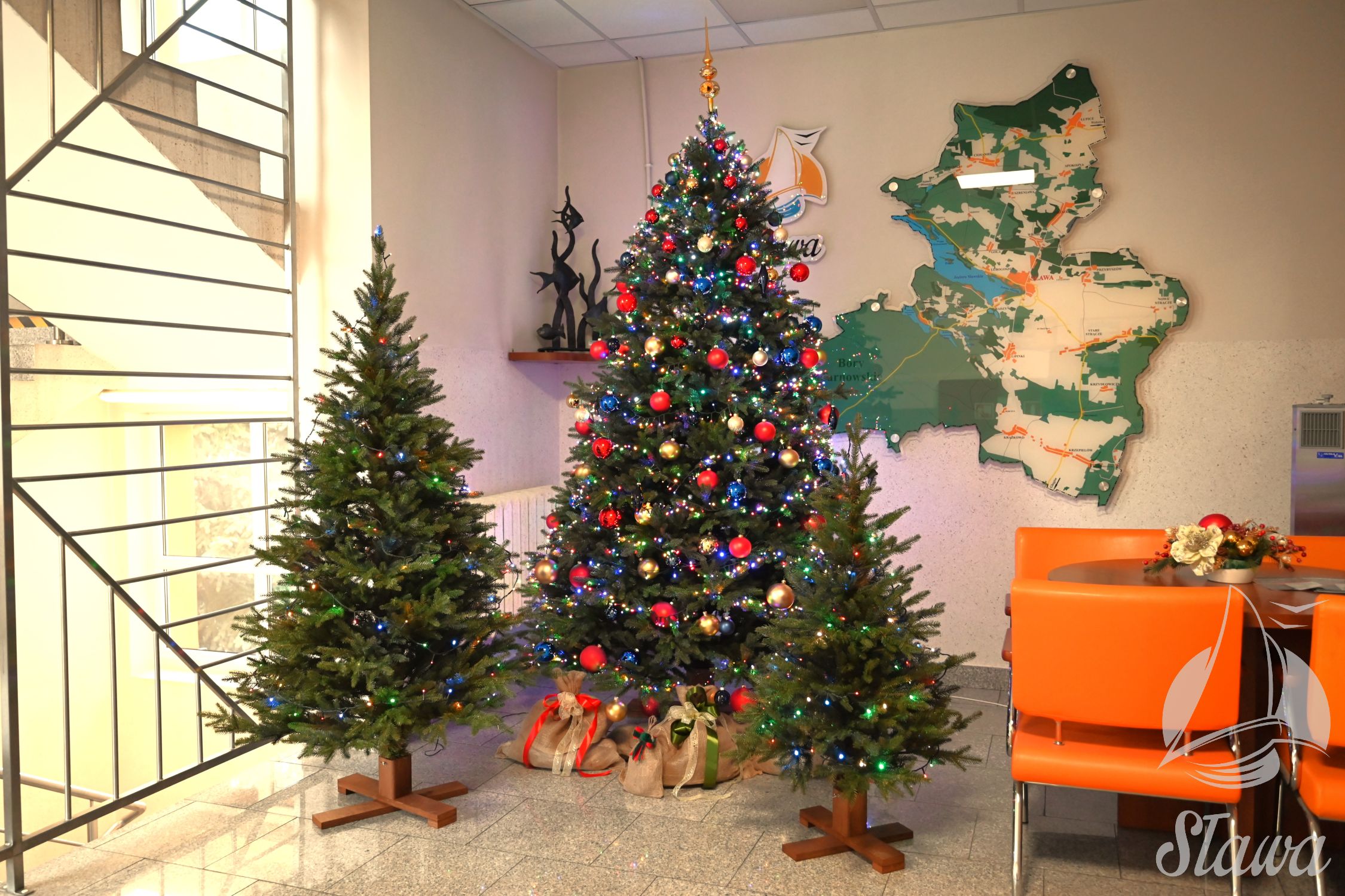 Świąteczne drzewka z Łupic Świąteczne drzewka z Łupic