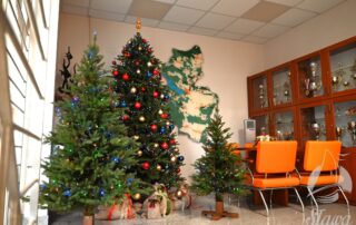 Świąteczne drzewka z Łupic