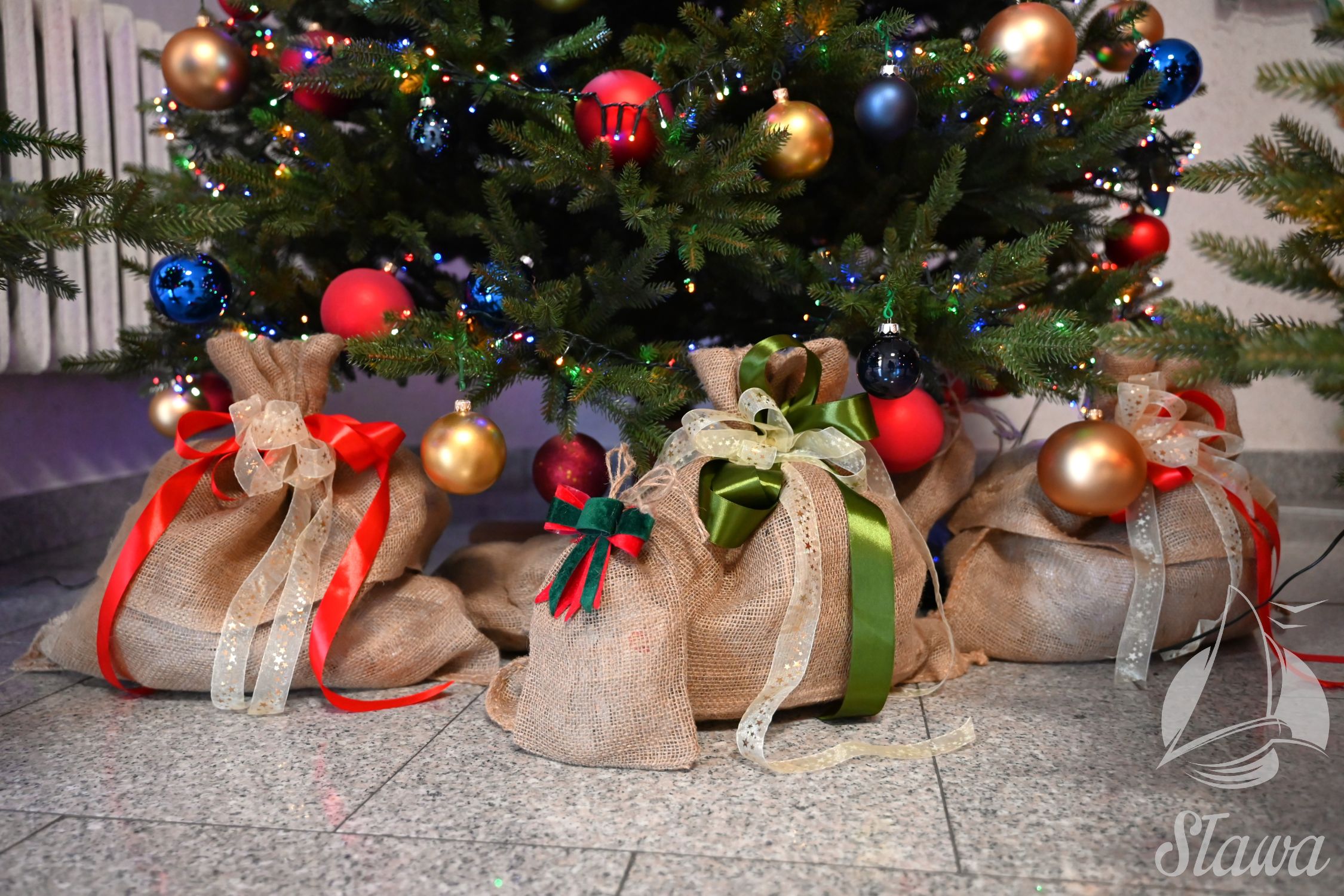 Świąteczne drzewka z Łupic Świąteczne drzewka z Łupic