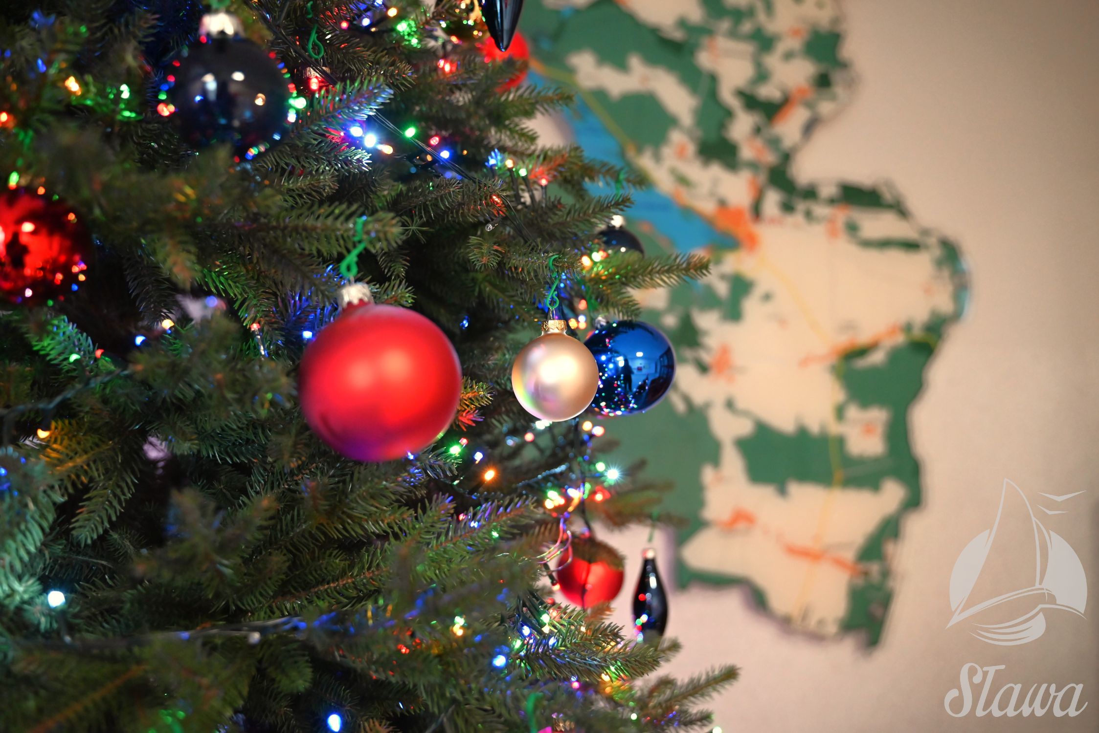 Świąteczne drzewka z Łupic Świąteczne drzewka z Łupic