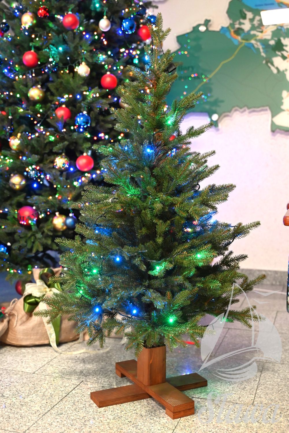 Świąteczne drzewka z Łupic Świąteczne drzewka z Łupic