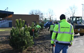 Kolejne nasadzenia w naszym mieście