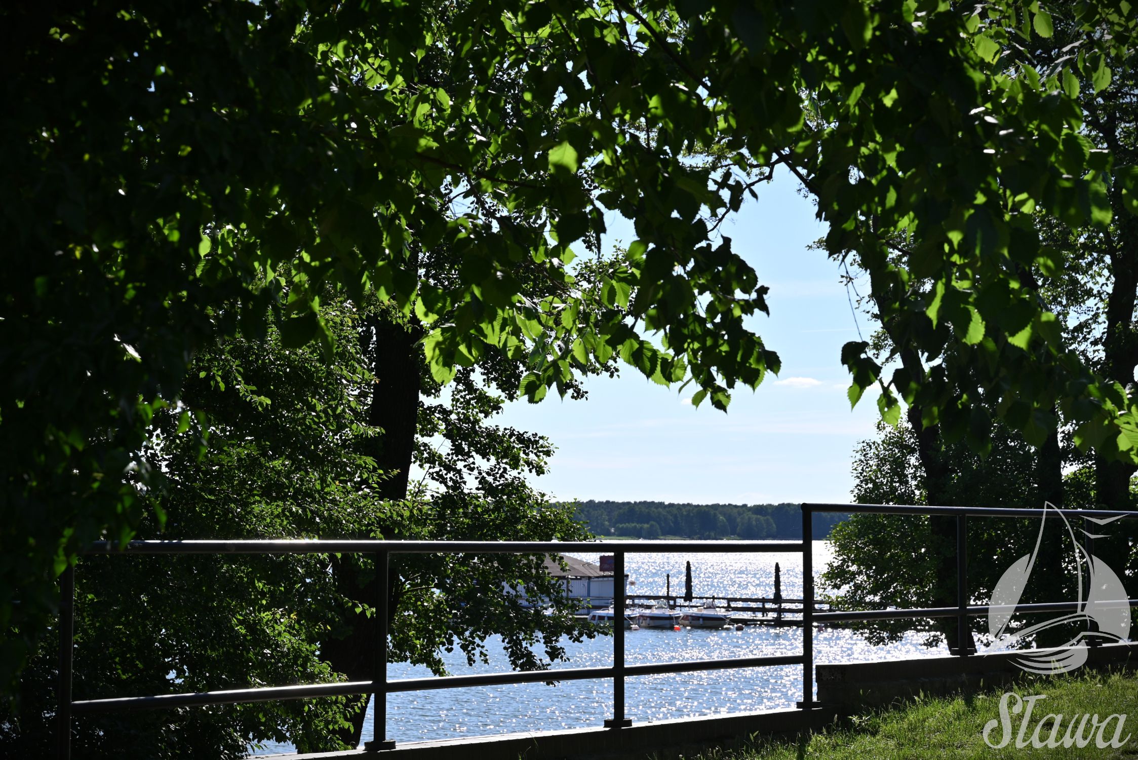 DSC_6410