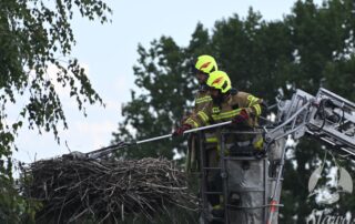 Akcja ratunkowa małego bociana
