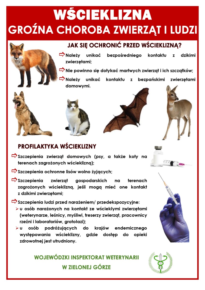 WŚCIEKLIZNA_plakat_page-0001 Ulotka dotycząca wścieklizny
