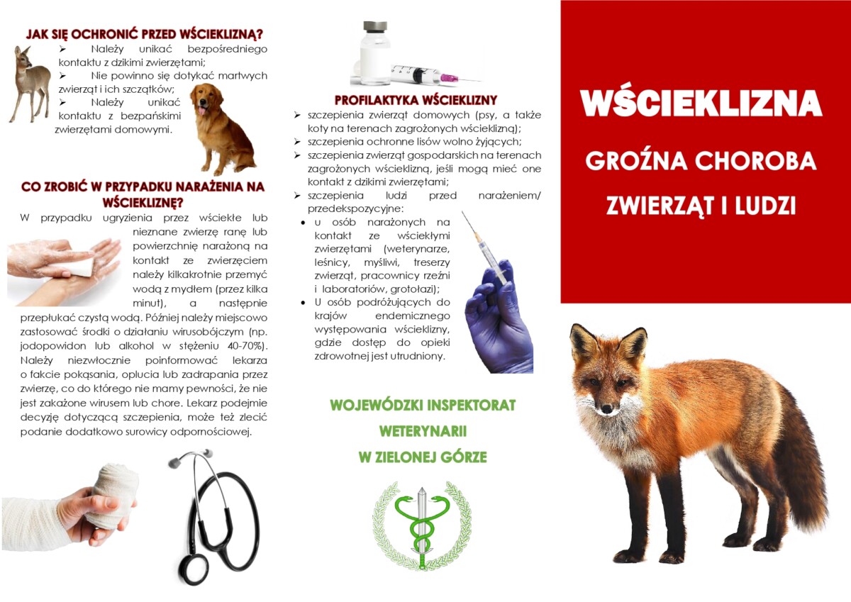 WŚCIEKLIZNA_ulotka_page-0001 Ulotka dotycząca wścieklizny