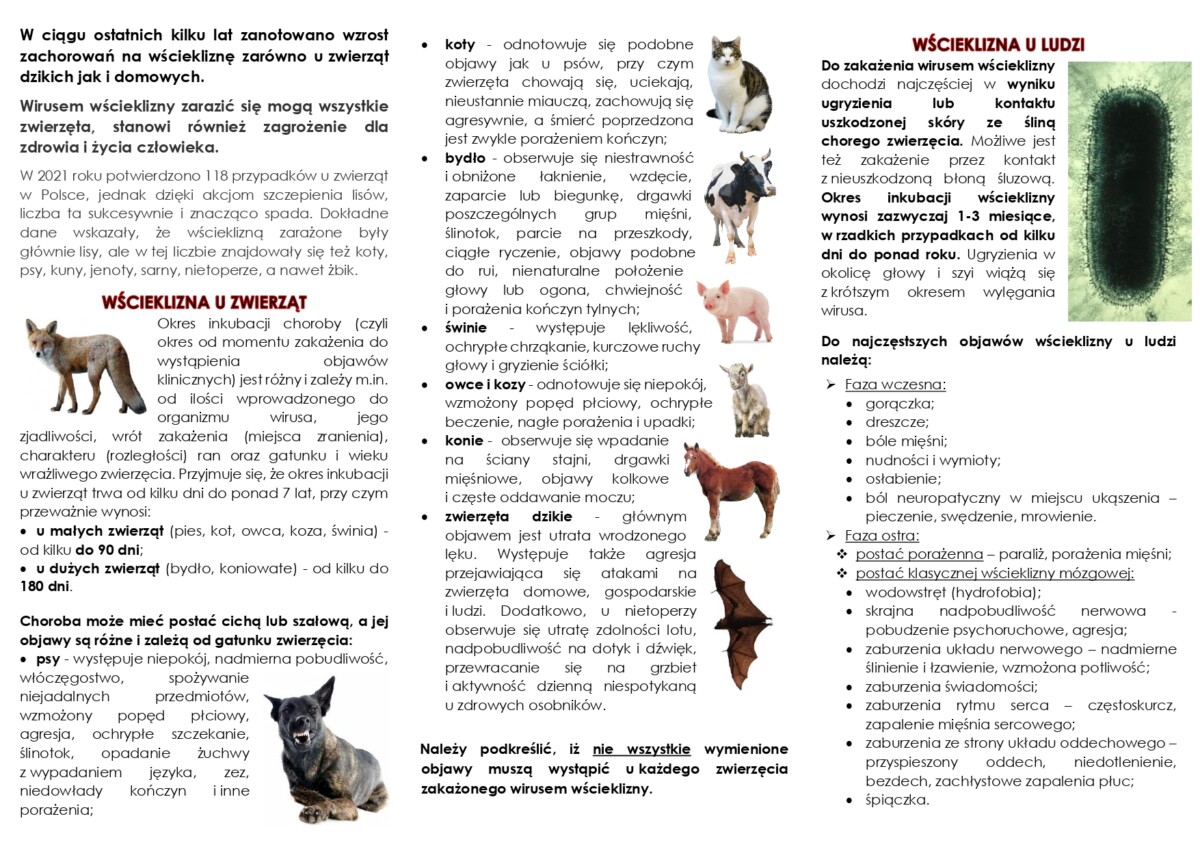 WŚCIEKLIZNA_ulotka_page-0002 Ulotka dotycząca wścieklizny