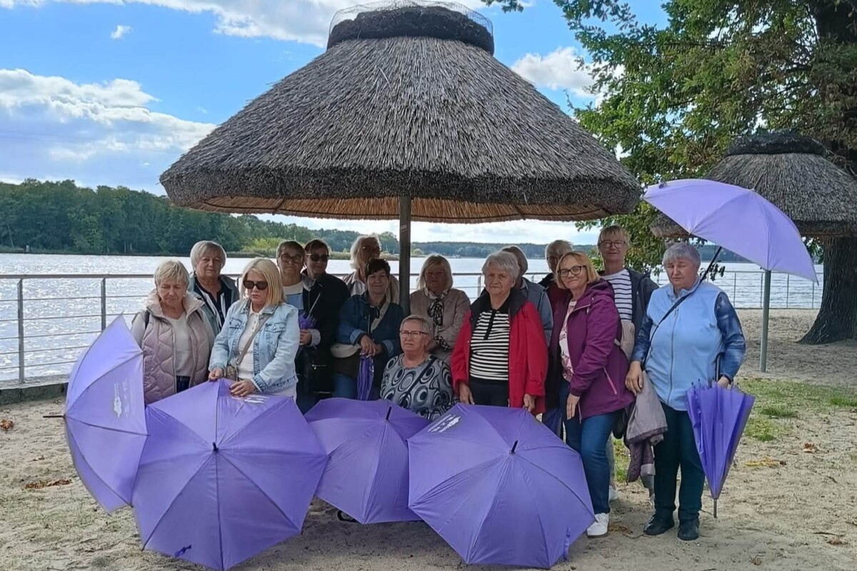 Wolontariat z korzeniami- Kraina Lasów i Jezior Wolontariat z korzeniami- Kraina Lasów i Jezior