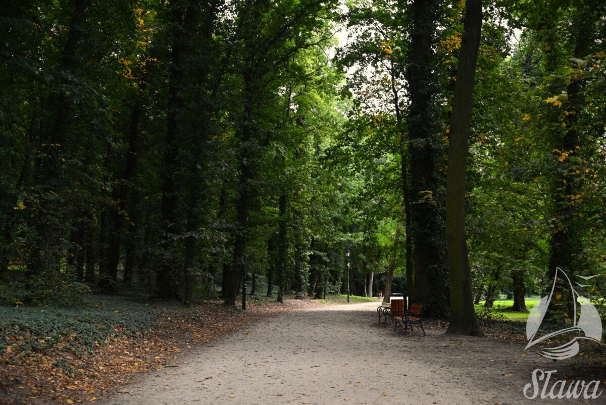 park miejski (1) Pierwszy dzień jesieni w Parku Miejskim w Sławie