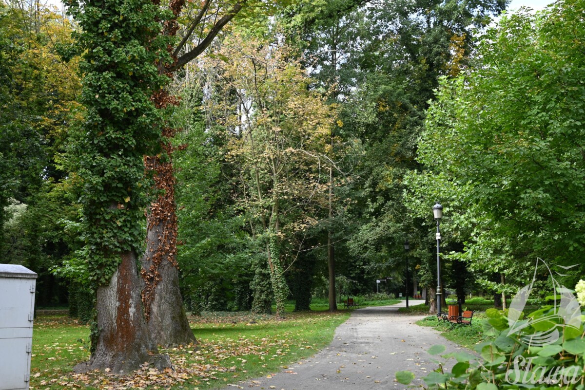 park miejski (11) jesieni w Parku Miejskim w Sławie