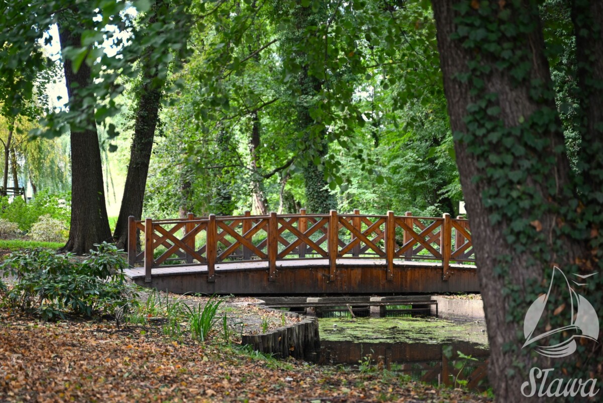 park miejski (12) jesieni w Parku Miejskim w Sławie