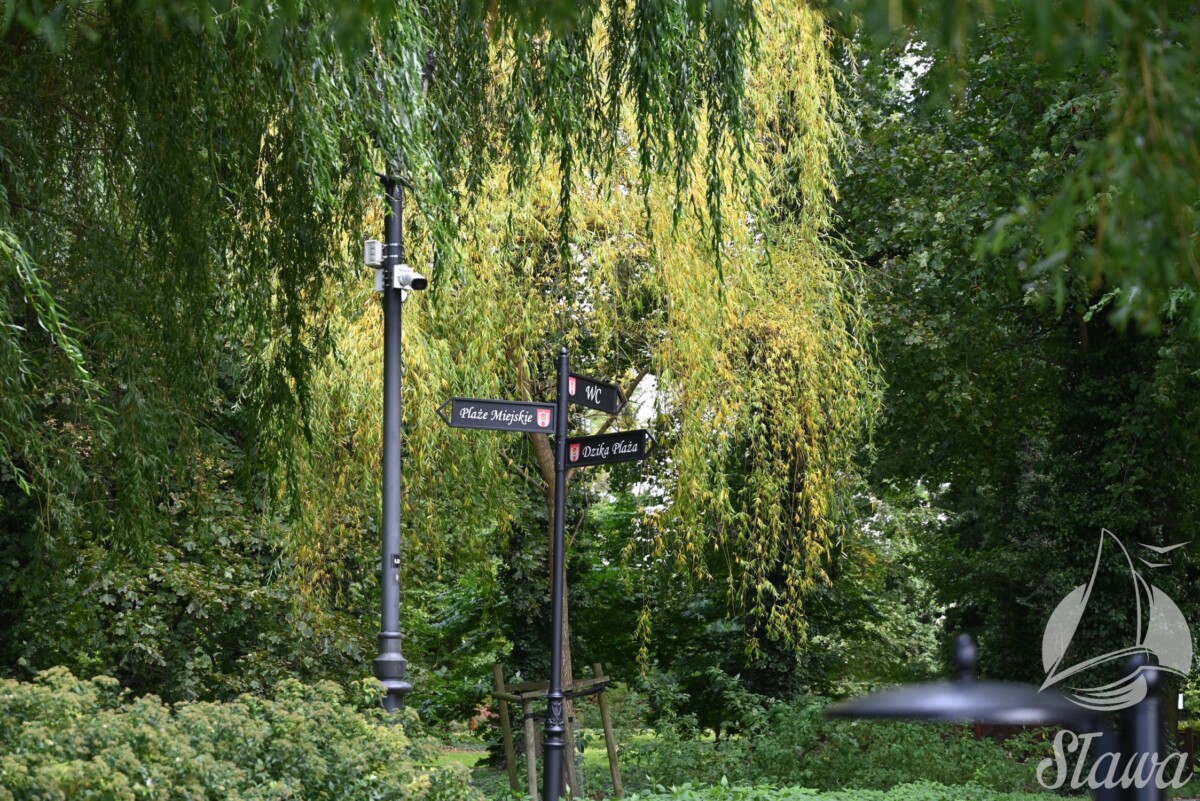 park miejski (14) jesieni w Parku Miejskim w Sławie