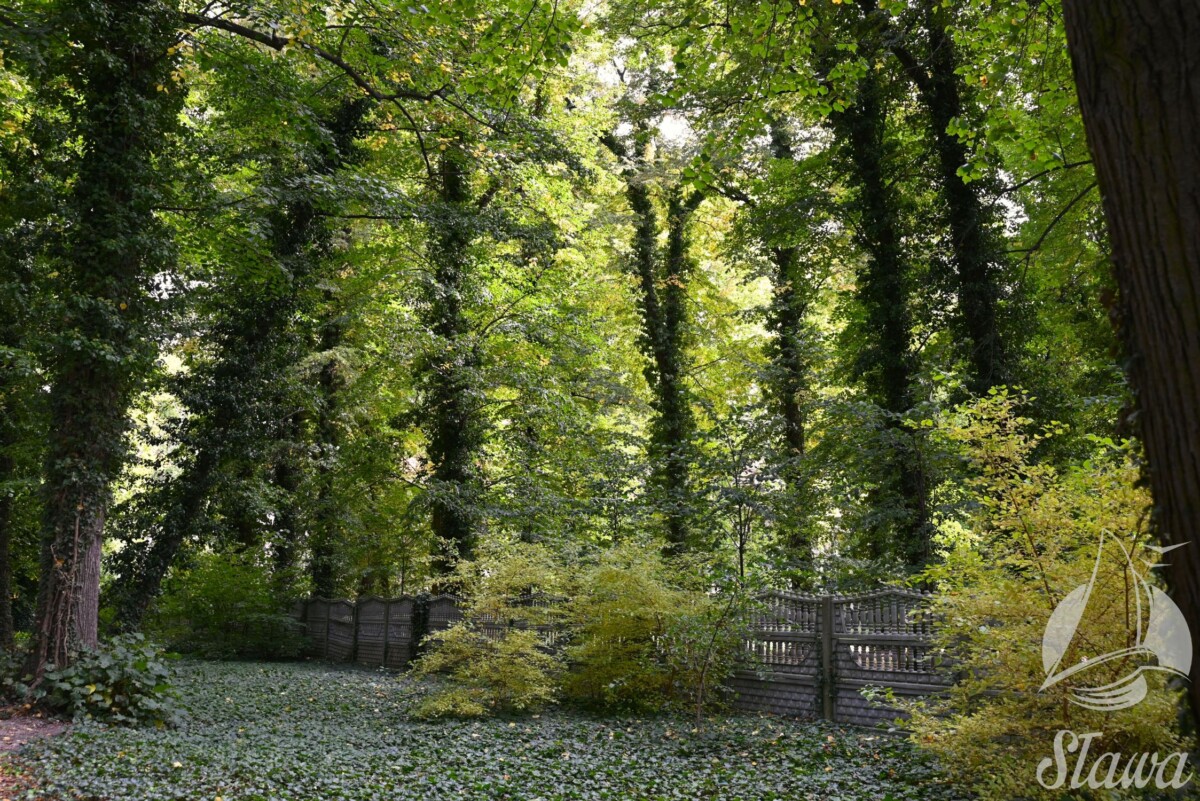 park miejski (18) jesieni w Parku Miejskim w Sławie