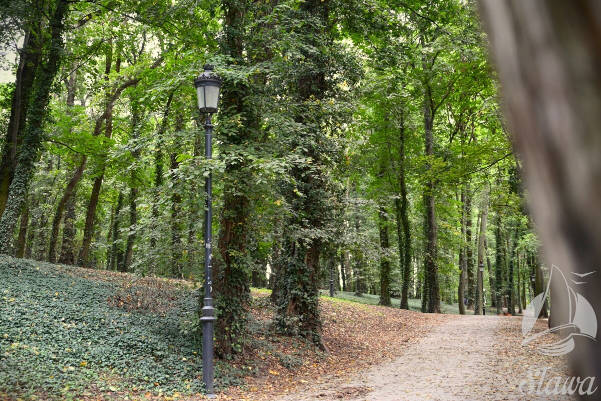 park miejski (2) jesieni w Parku Miejskim w Sławie