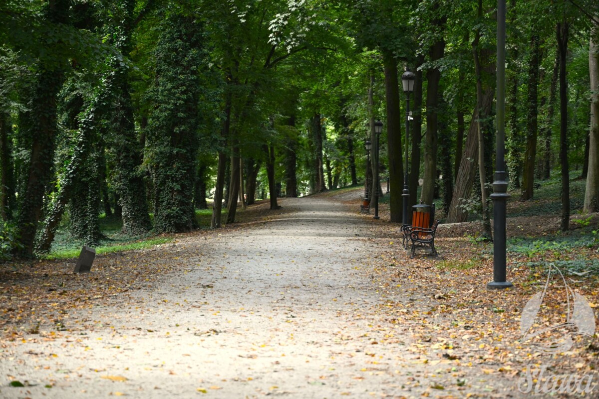 park miejski (20) jesieni w Parku Miejskim w Sławie