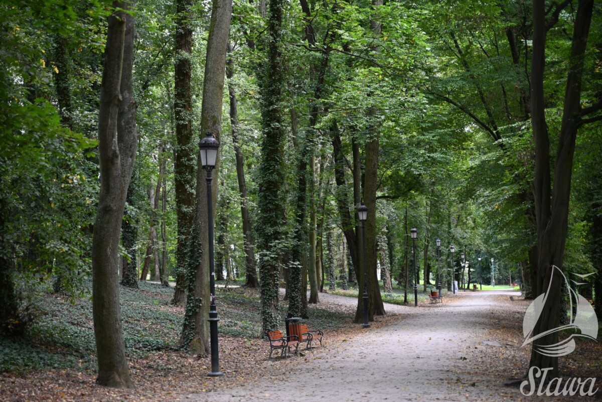park miejski (3) jesieni w Parku Miejskim w Sławie