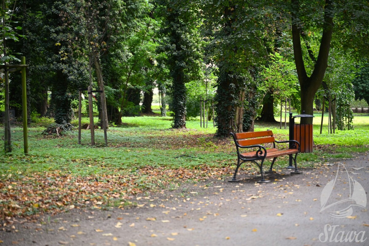 park miejski (4) jesieni w Parku Miejskim w Sławie