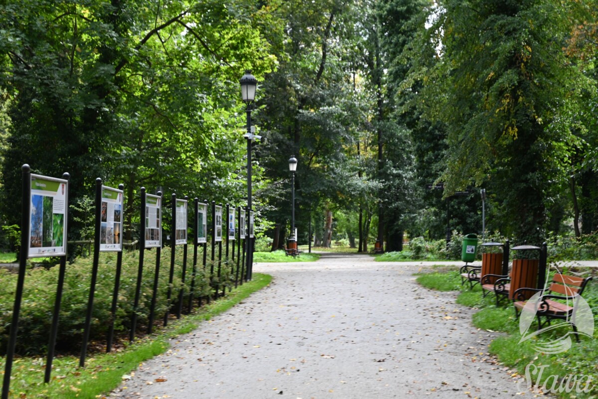park miejski (5) jesieni w Parku Miejskim w Sławie
