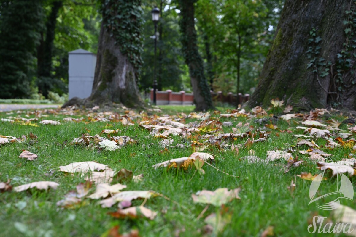 park miejski (7) jesieni w Parku Miejskim w Sławie