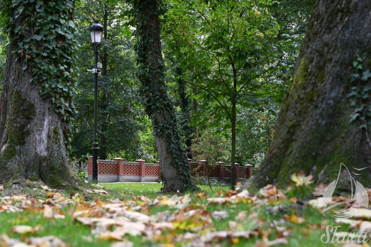 park miejski (8) jesieni w Parku Miejskim w Sławie