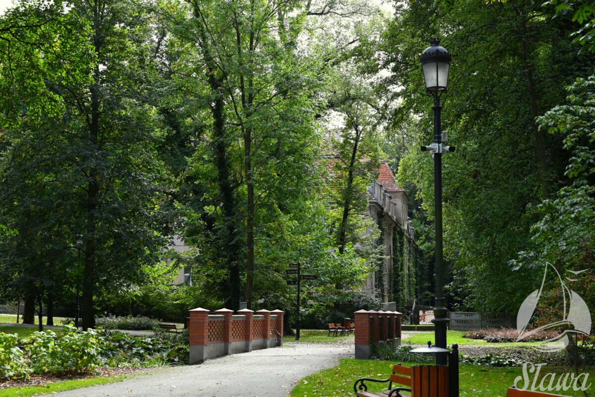 park miejski (9) jesieni w Parku Miejskim w Sławie