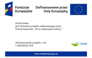 Lubuska 9 z dofinansowaniem na cyfryzację zabytków